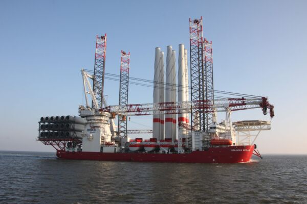 Veja Mate Wind Scylla