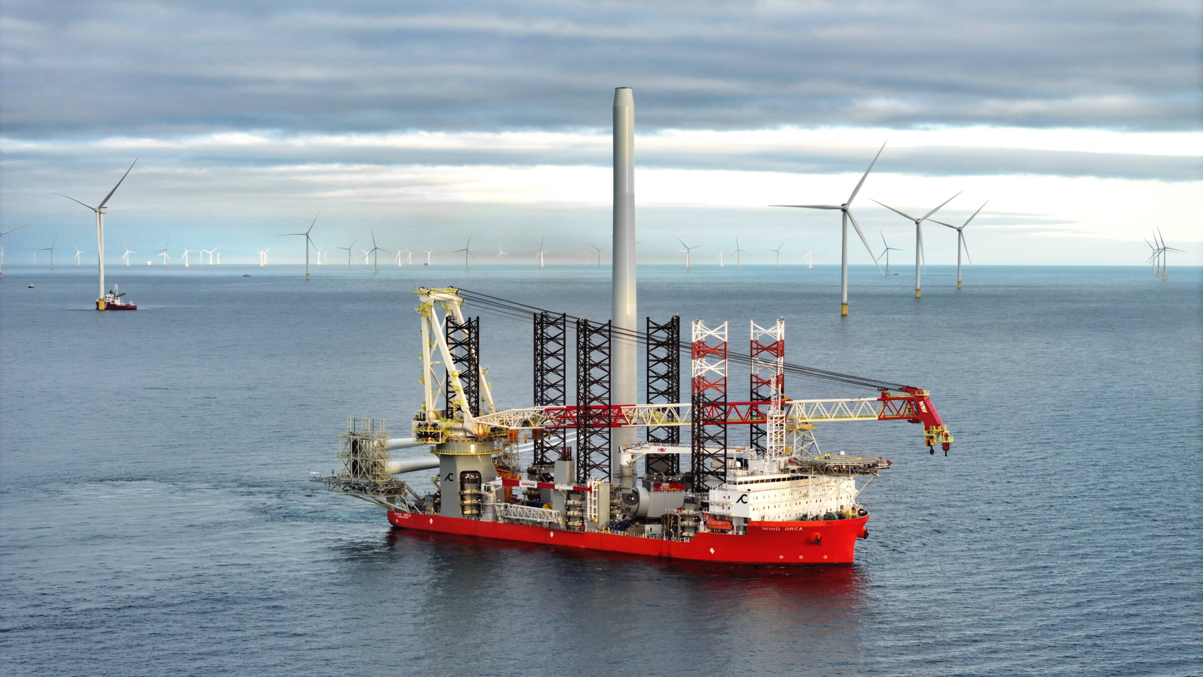 タカ WIND AND SEA  Peak Cadeler1.jpg